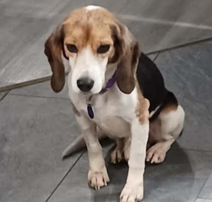 Photo of Stanley