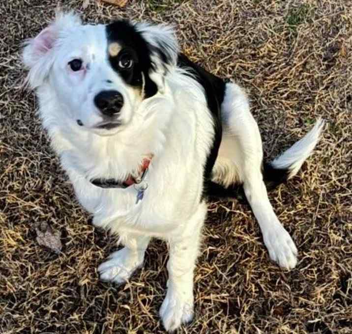 Photo of Oakley