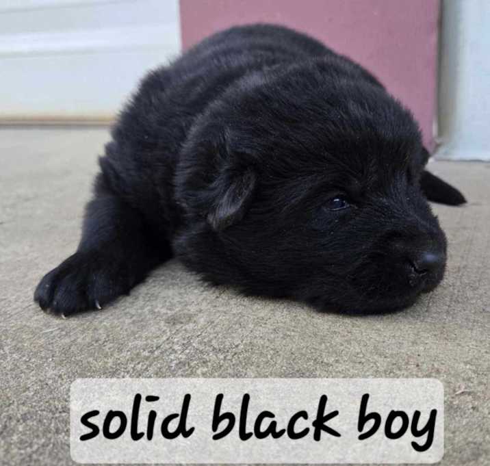 Photo of Major