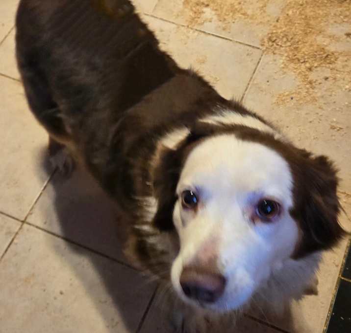 Photo of Millie