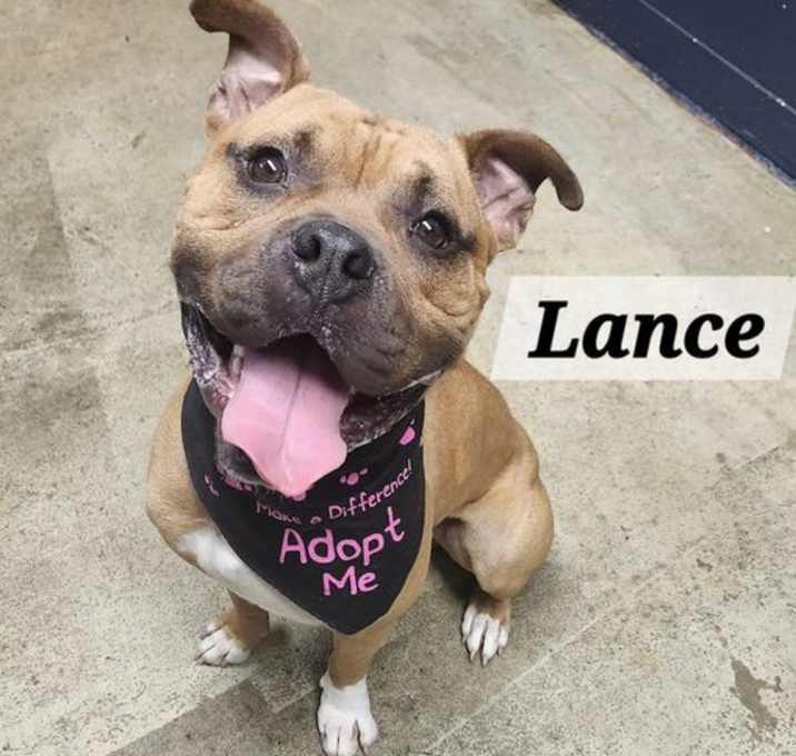 Photo of Lance