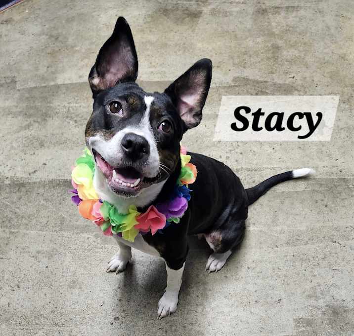 Photo of Stacy
