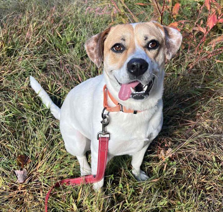 Photo of Maizy