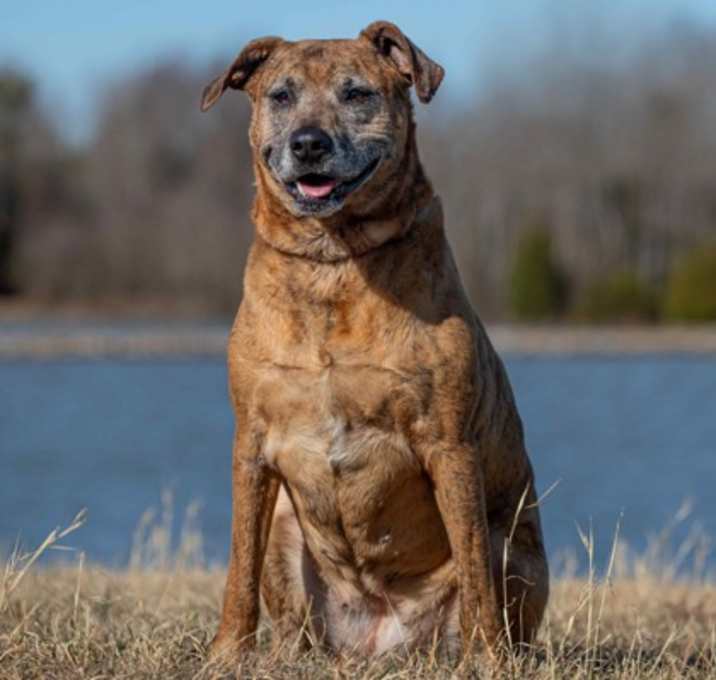 Photo of Athena