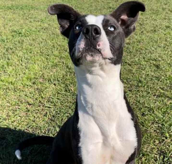 Photo of SALLY