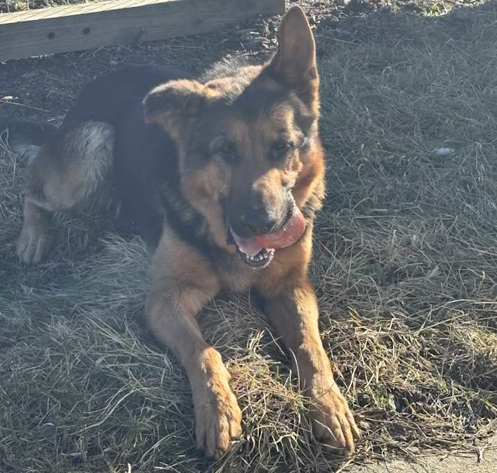 Photo of Deuce