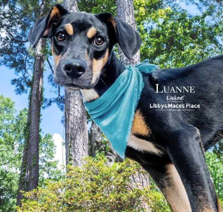 Photo of Luanne