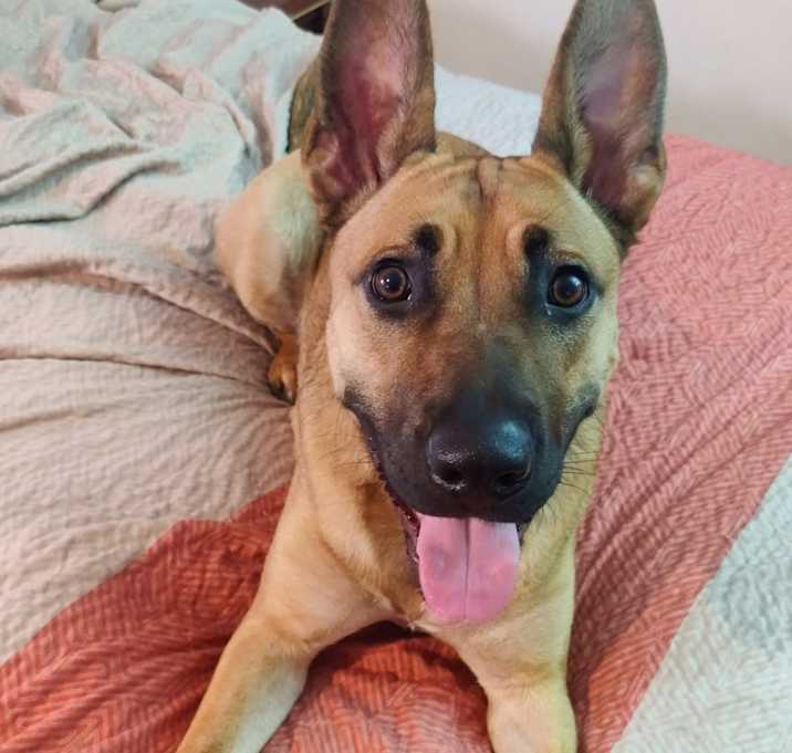 Photo of Evie Ringo