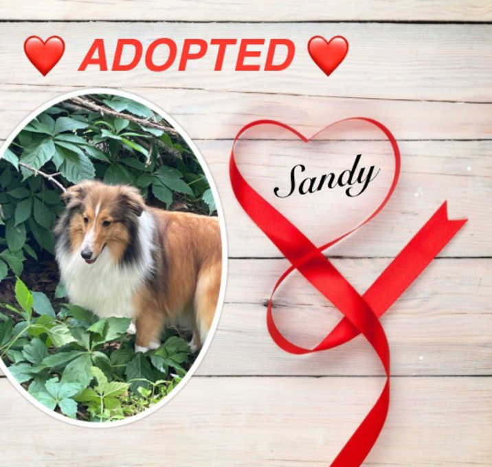 Photo of Sandy