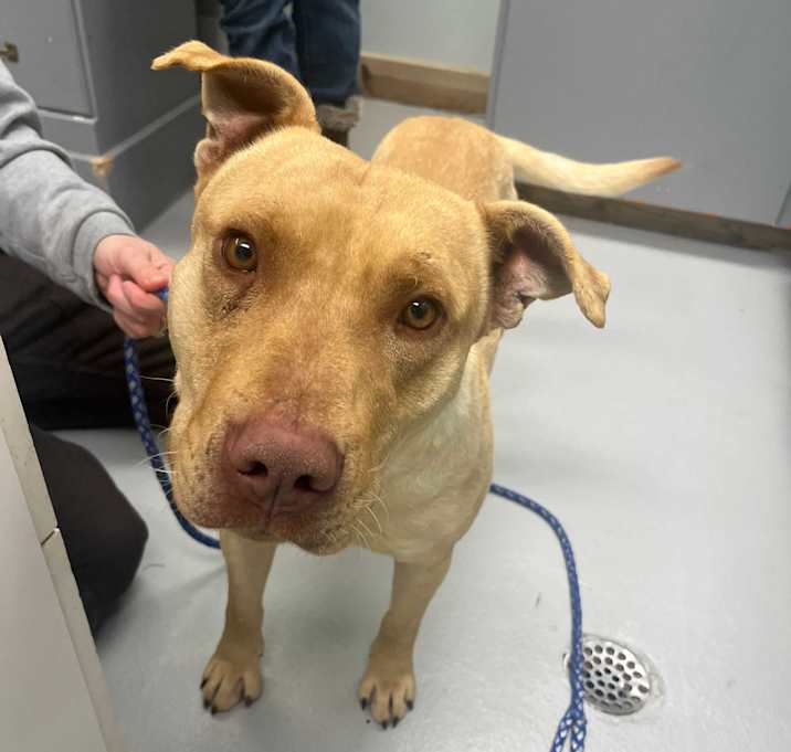Photo of Tank