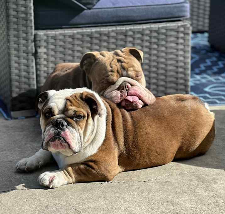 Photo of Emett Lucy
