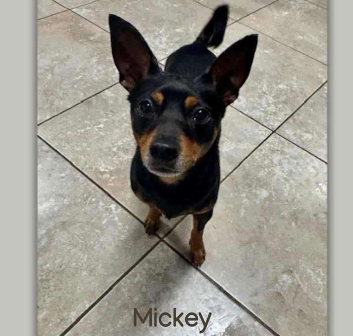 Photo of Mickey