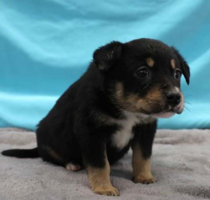 Photo of Lilly