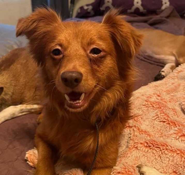 Photo of Winston