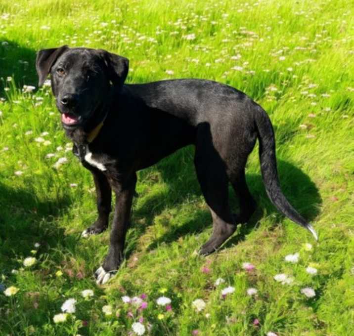 Photo of Remi