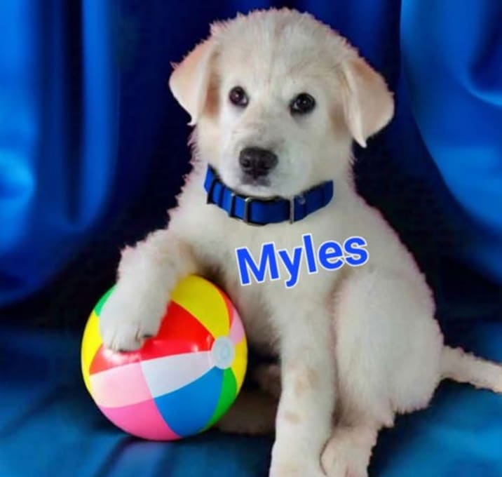 Photo of Myles