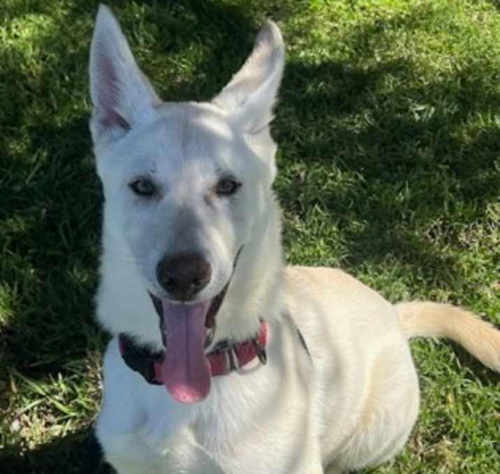 Photo of KONA