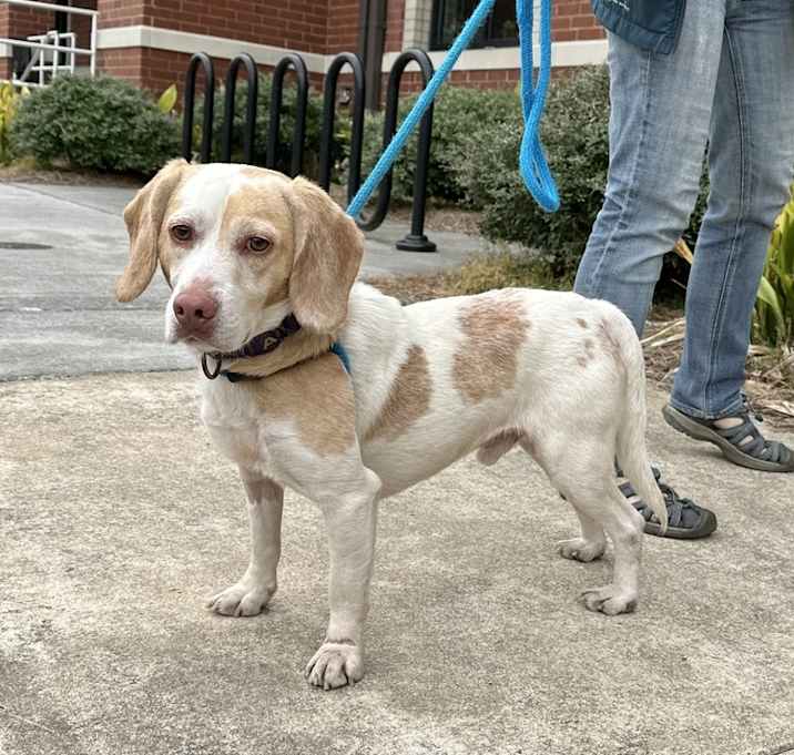 Photo of Gumbo
