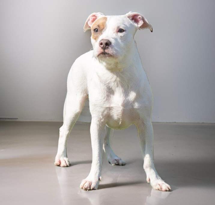 Photo of Reggie