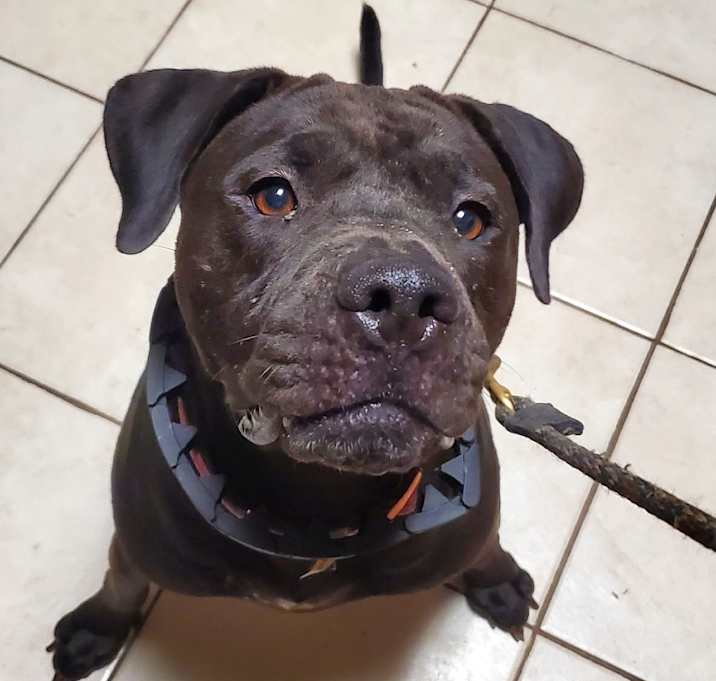 Photo of Polly