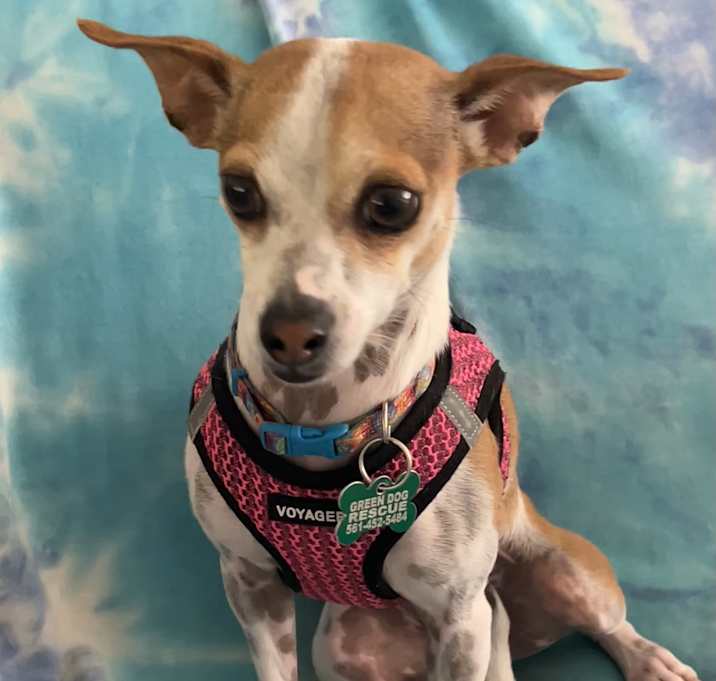Photo of WINNIE