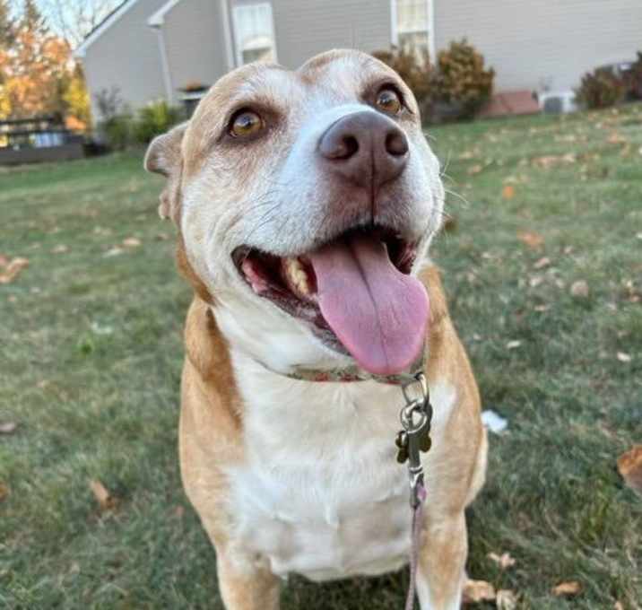 Photo of Maggie