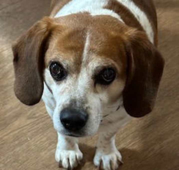 Photo of Gatsby