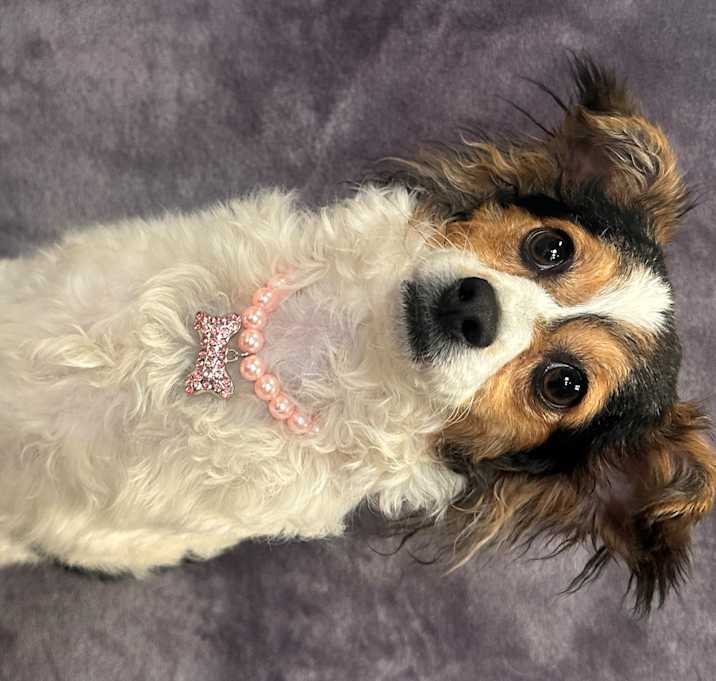 Photo of Ellie