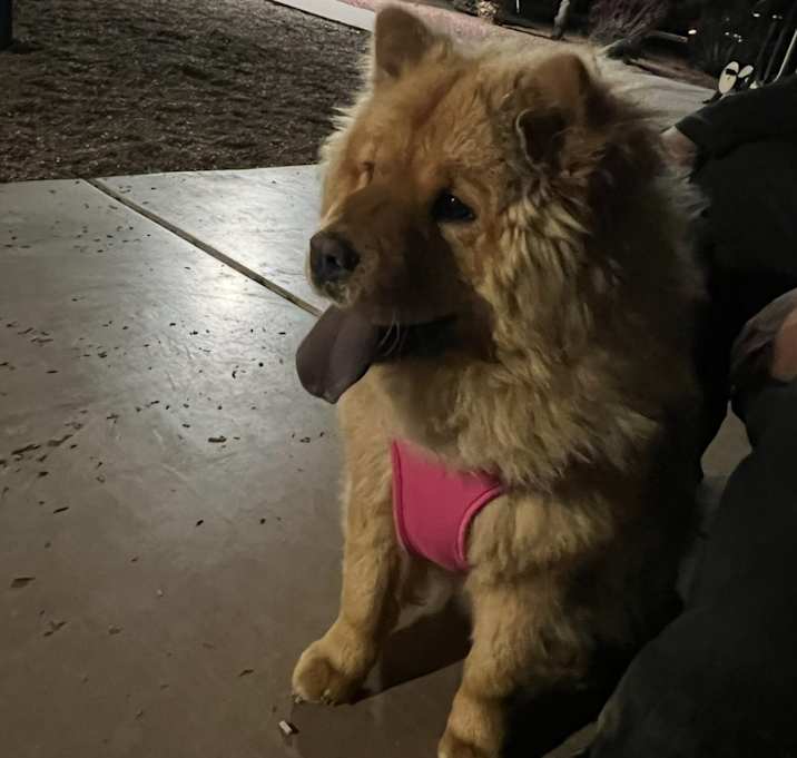 Photo of Osita