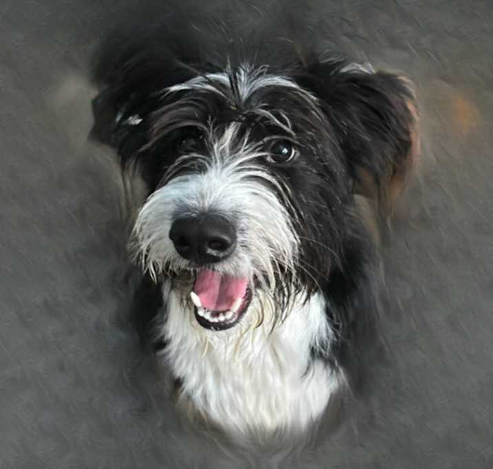 Photo of Bentley