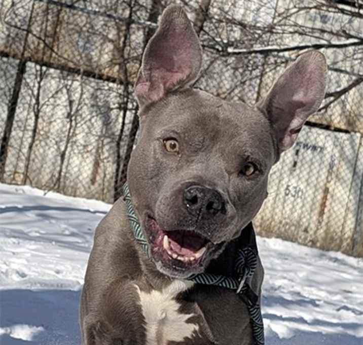Photo of Coal