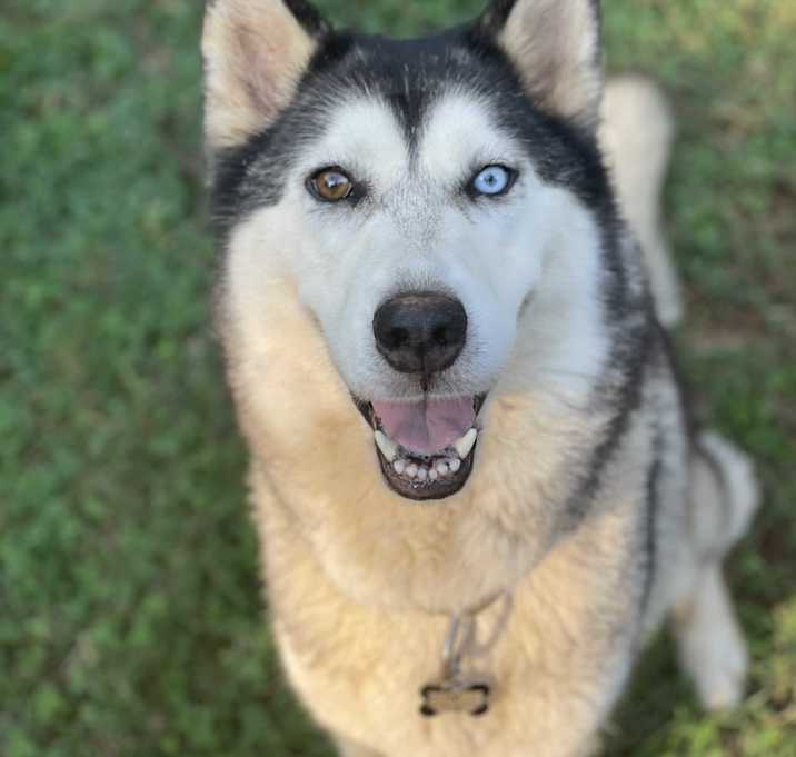 Photo of Winnie