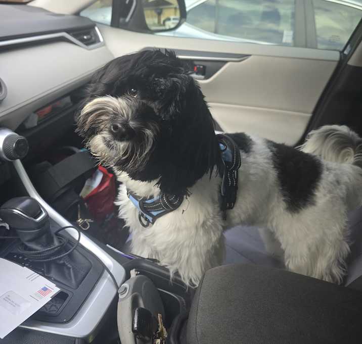 Photo of Max