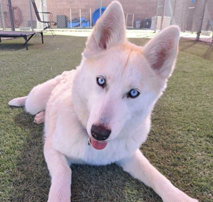 Photo of Moonshine