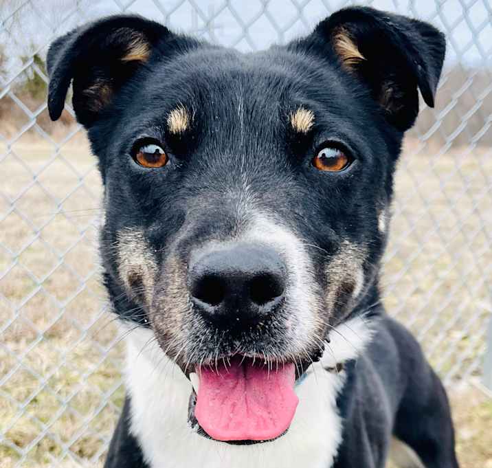 Photo of Remmy
