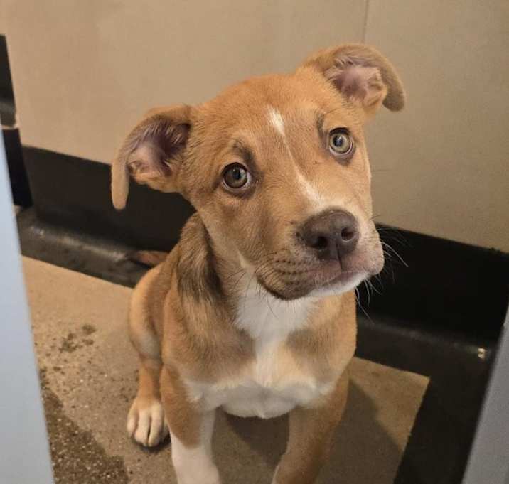 Photo of Winston