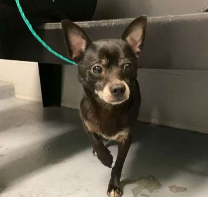 Photo of Tank