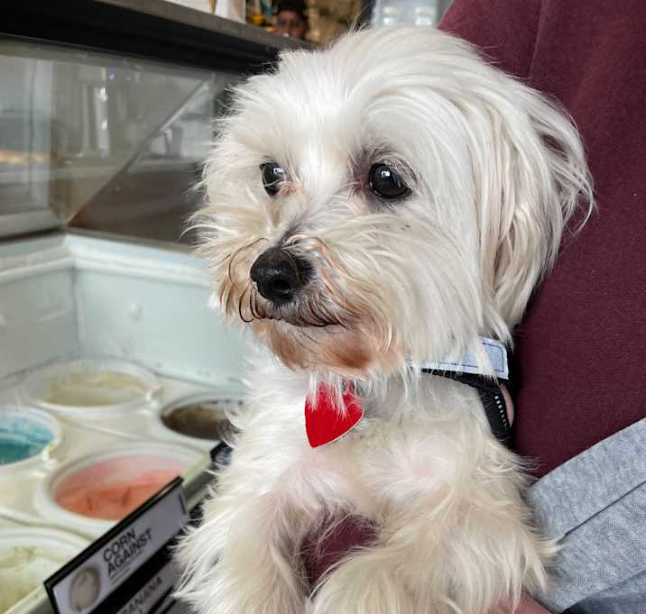 Photo of Molly