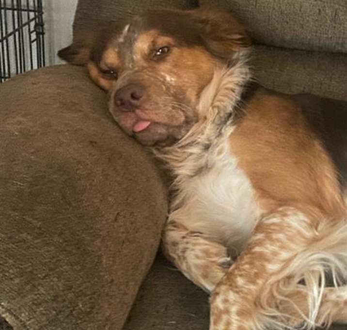 Photo of LOKI
