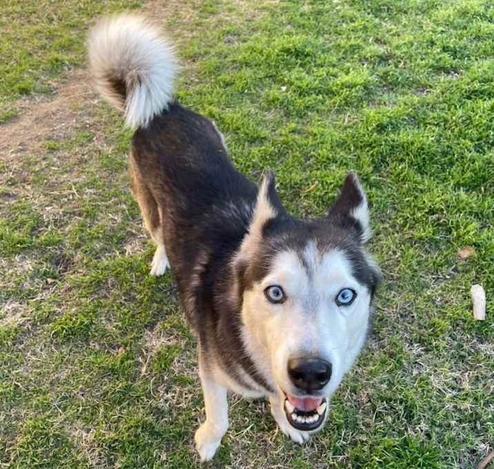 Photo of Emmie