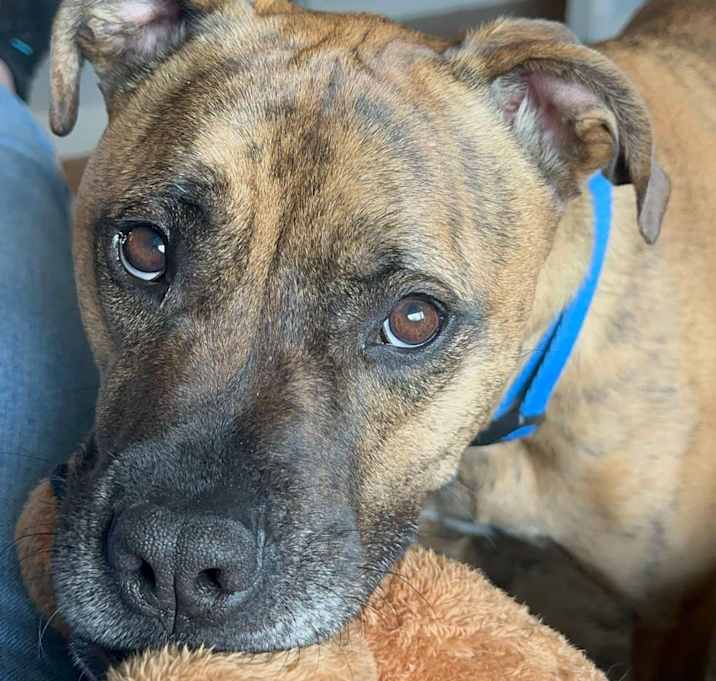 Photo of Duke