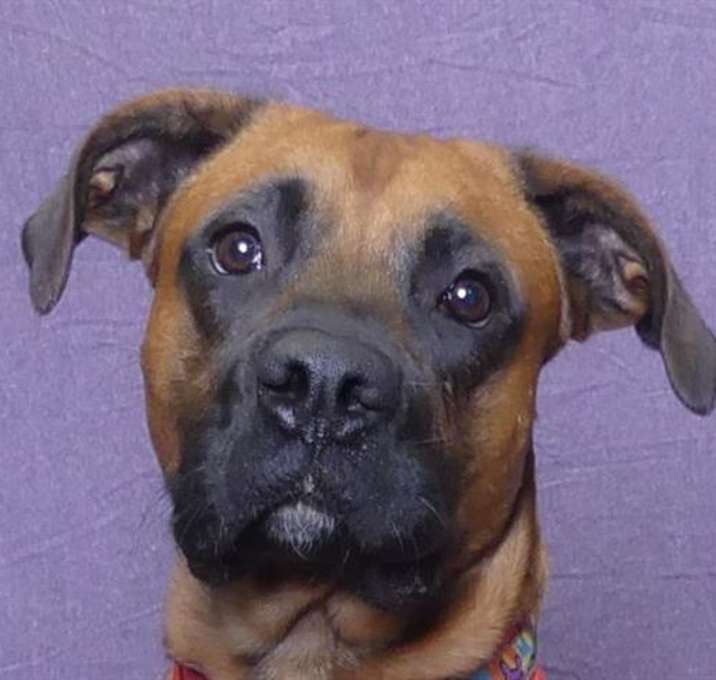 Photo of ROCKY