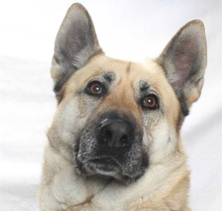 Photo of *LISBETH