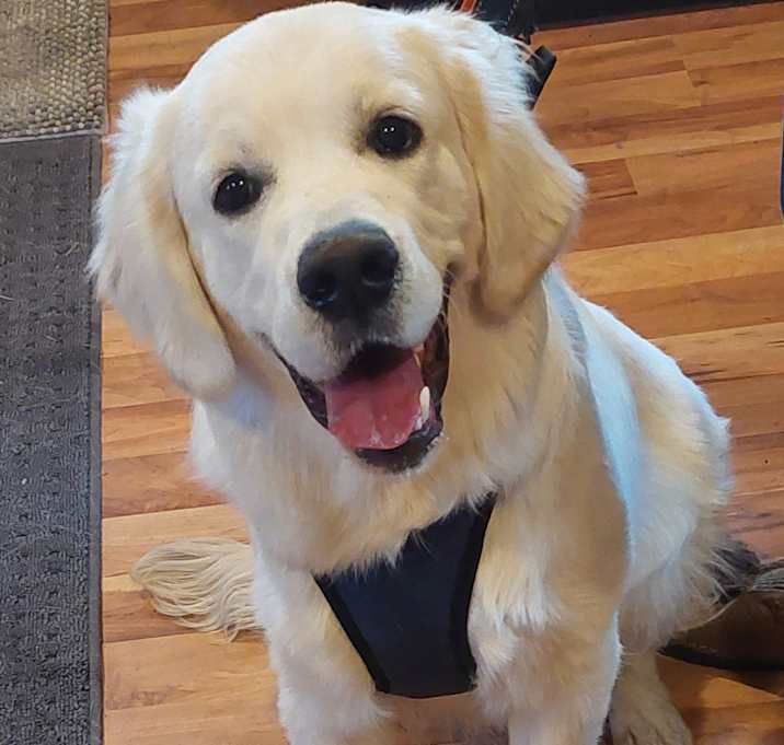 Photo of Tank