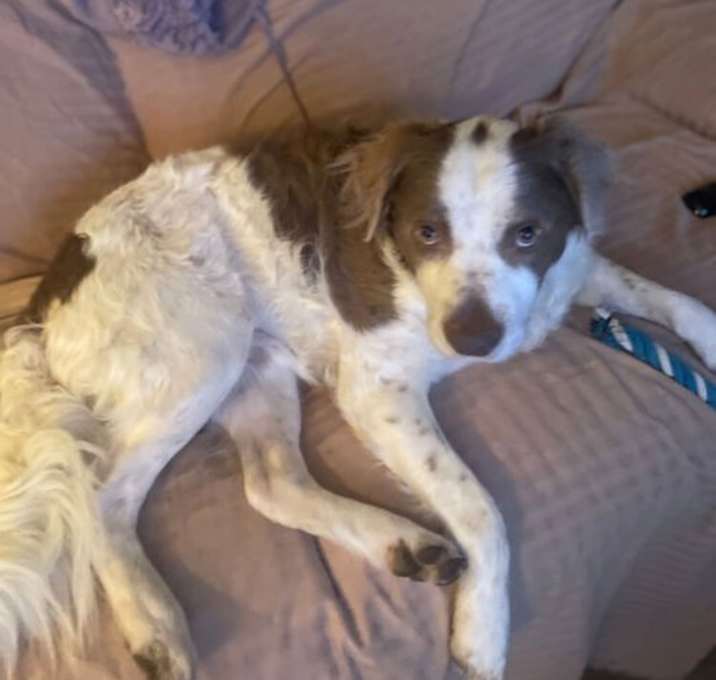 Photo of Max