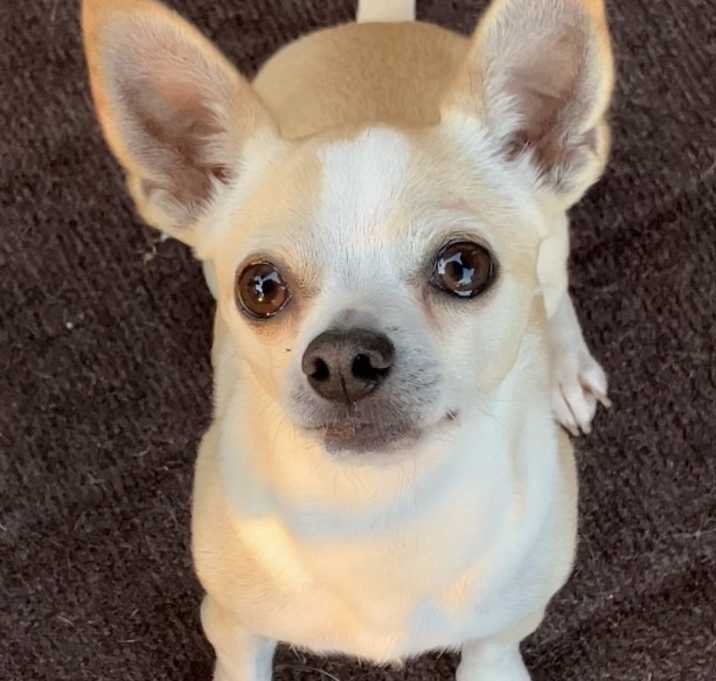 Photo of Darla