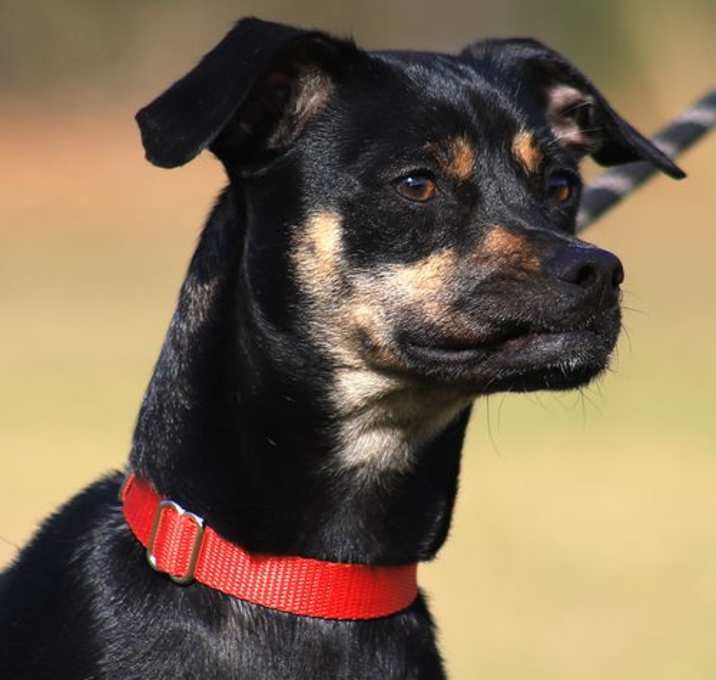 Photo of Seeker