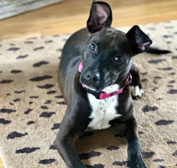 Photo of WINNIE