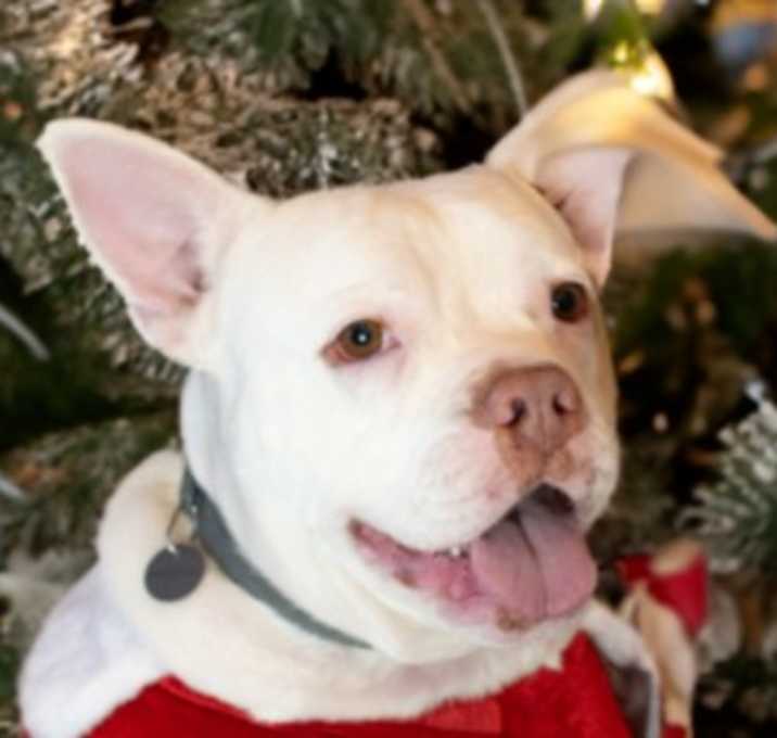 Photo of Cora