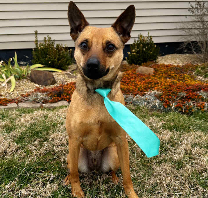 Photo of NEWTON (JAX)
